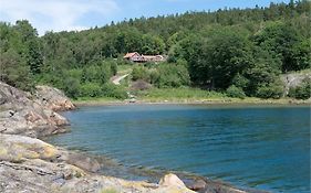 Tangehamnen